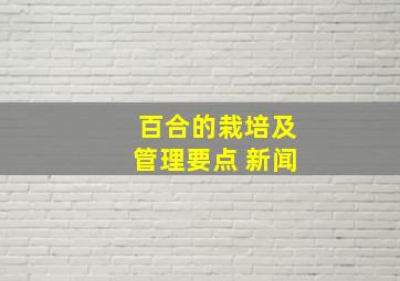 百合的栽培及管理要点 新闻